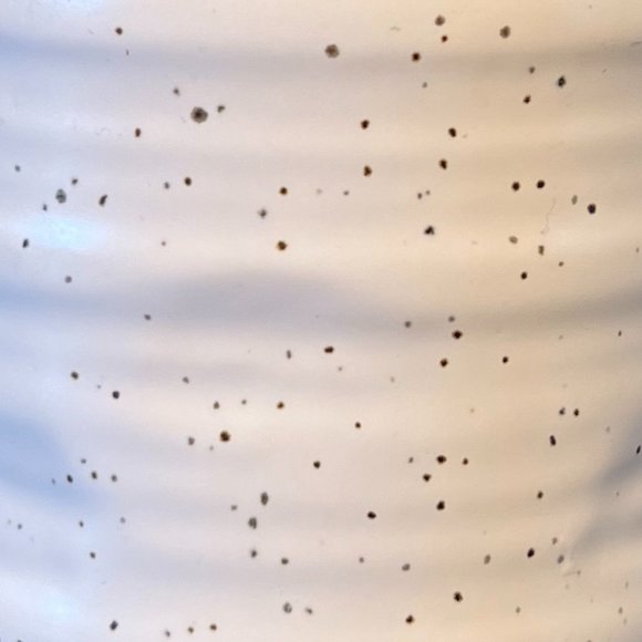 THRESHOLD White and Gray Speckled Ribbed Stoneware Mug with Unglazed Gray Base - Picture 3 of 11